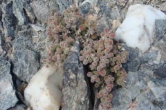 05 2 Lüderitz 20