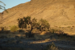 08 1 Hauchabfontain Camp 25