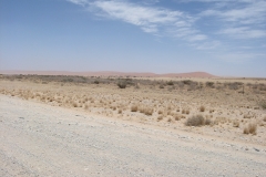 08 3 rote Dünen der Namib bei Sossusvlei 3
