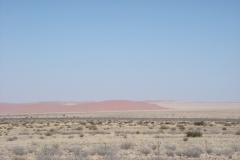08 3 rote Dünen der Namib bei Sossusvlei 4