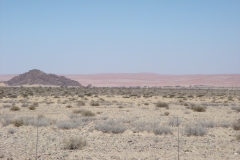 08 3 rote Dünen der Namib bei Sossusvlei 5