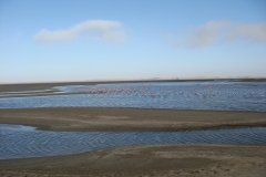 10 4 Walvis Bay Lagune 03