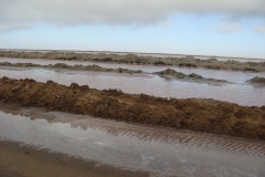 10 4 Walvis Bay Lagune 07