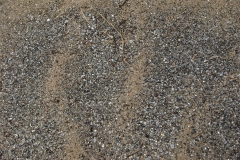 11 1 QuadTour durch die Dünen von Walvis Bay 33 Glimmer auf d.Dünen