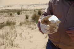 11 1 QuadTour durch die Dünen von Walvis Bay 53