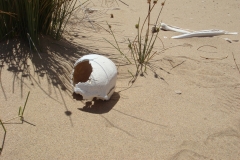 11 1 QuadTour durch die Dünen von Walvis Bay 54