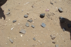 11 1 QuadTour durch die Dünen von Walvis Bay 56