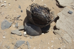 11 1 QuadTour durch die Dünen von Walvis Bay 62