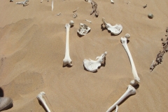 11 1 QuadTour durch die Dünen von Walvis Bay 76