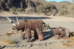 11 5 Rhino Camp Ugab River 01.2