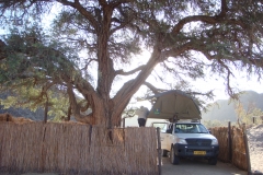 11 5 Rhino Camp Ugab River 01.3