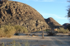 11 5 Rhino Camp Ugab River 20