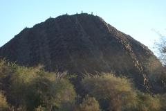 11 5 Rhino Camp Ugab River 21