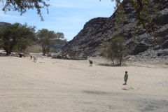 11 5 Rhino Camp Ugab River 40