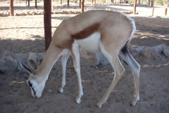 12 2 Xaragu Camp 15