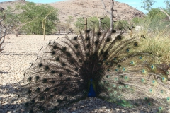12 2 Xaragu Camp 20