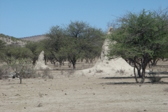 13 1 Weg über Opuwo zu den Epupa-Falls 04