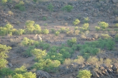 14 2 Hobatere Camp 01.6