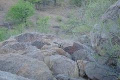 14 2 Hobatere Camp 02.3